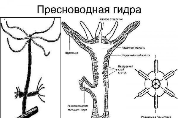 Кракен маркет зеркало