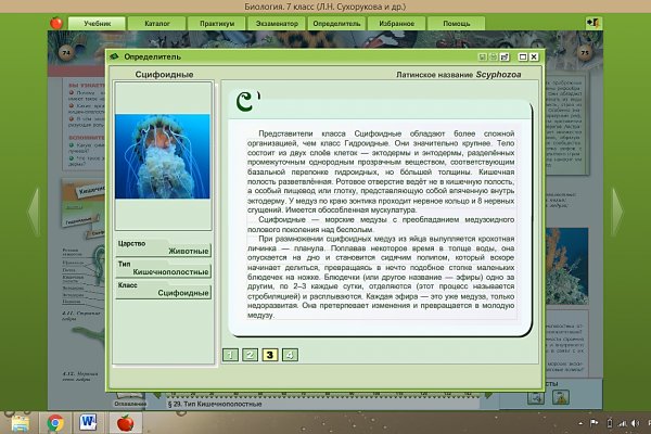 Кракен невозможно зарегистрировать пользователя