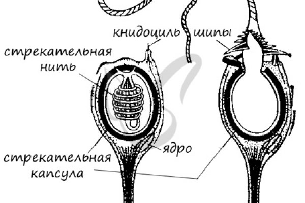 Кракен купить мефедрон